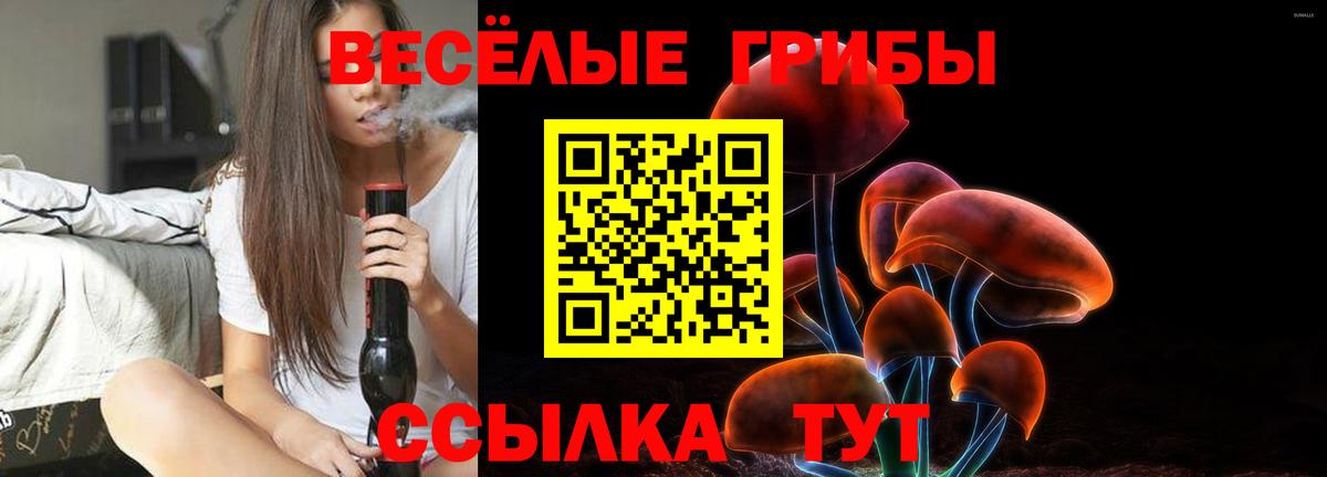 Галлюциногенные грибы MAGIC MUSHROOMS  Вход с VPN  Кирово-Чепецк 